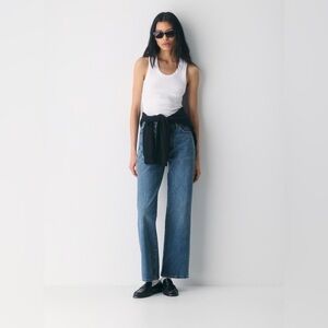 Aritzia Denim Forum The Farrah Hi-Rise Wide Jean